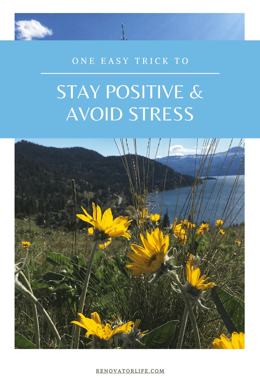 Stay Positive and Avoid Stress