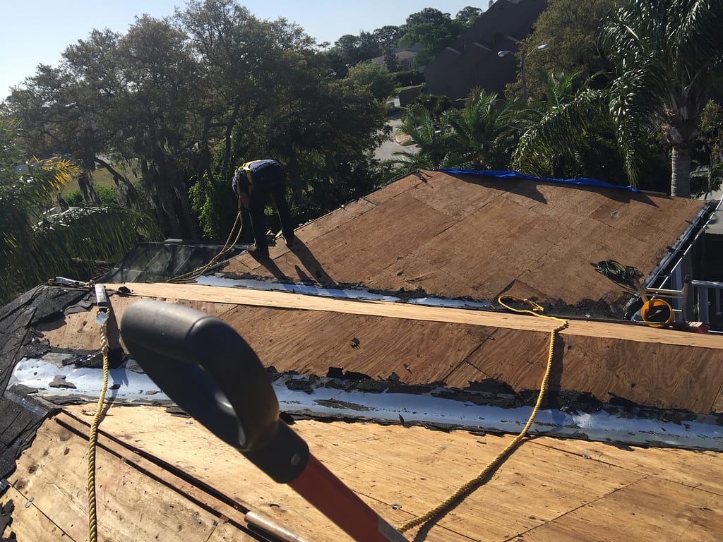 exposed plywood on roof as we replaced the old roofing